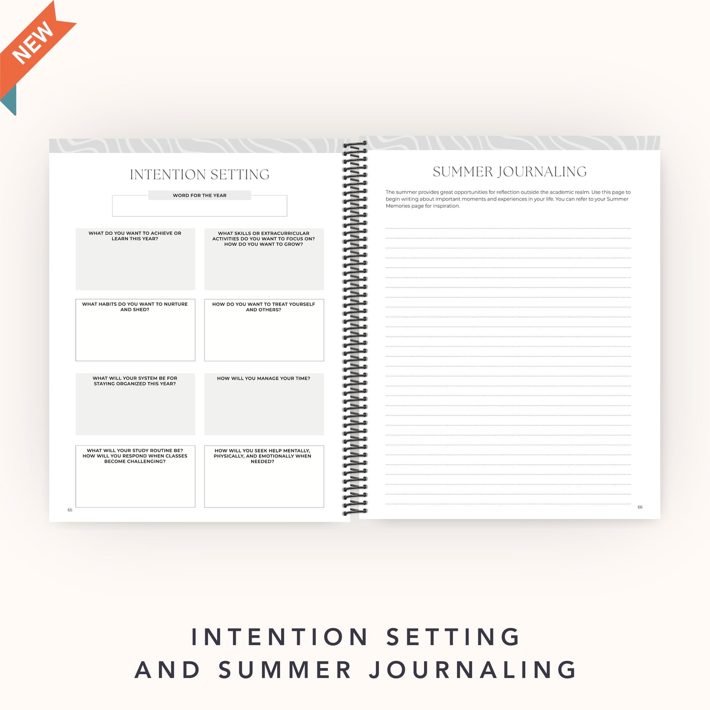 The College Vibes Planner: 12-Month Undated College Application & Planning Resource
