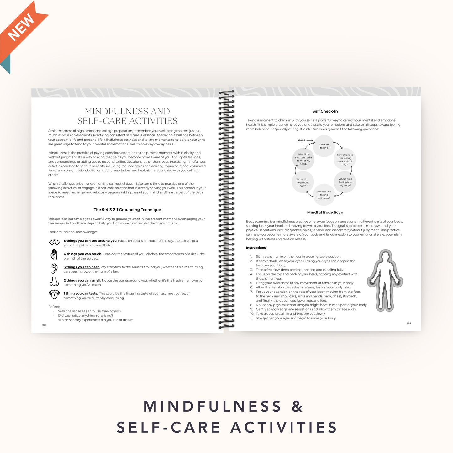 The College Vibes Planner: 12-Month Undated College Application & Planning Resource