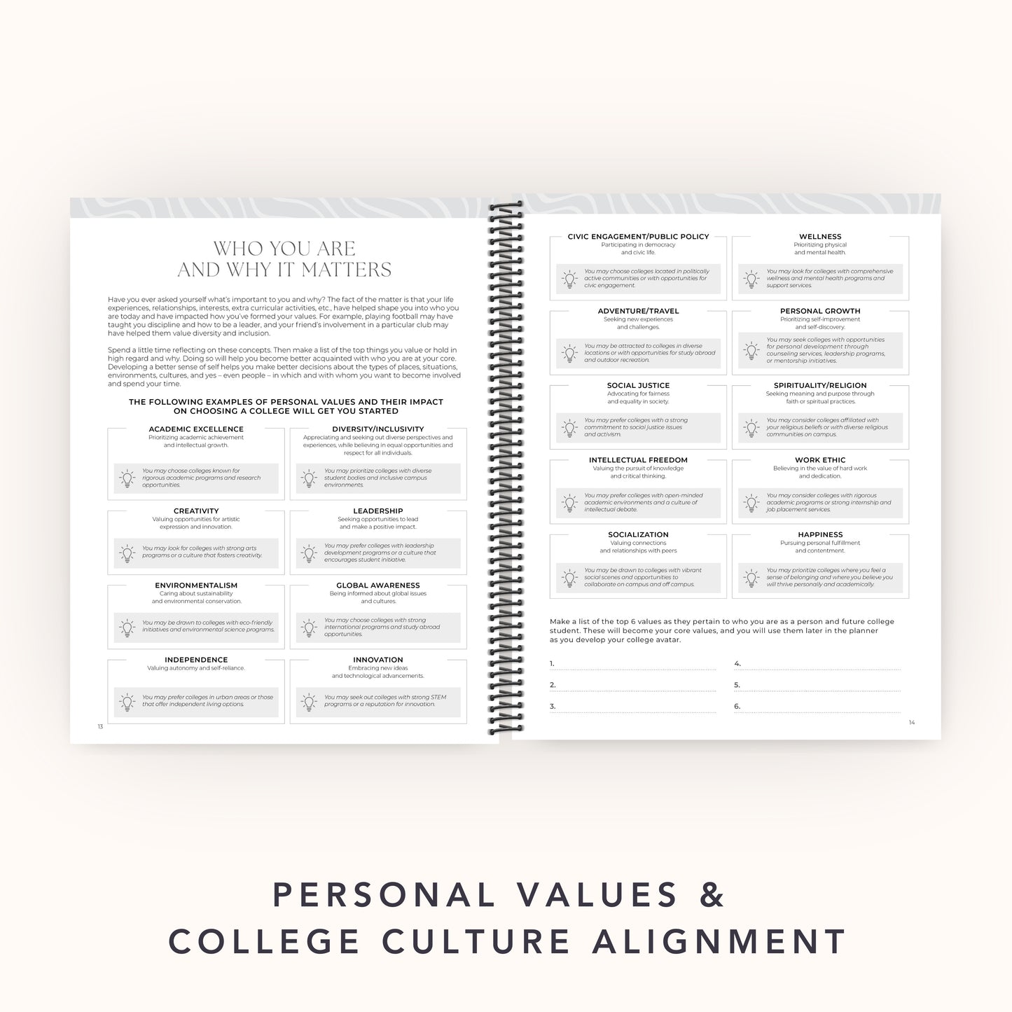 The College Vibes Planner: 12-Month Undated College Application & Planning Resource