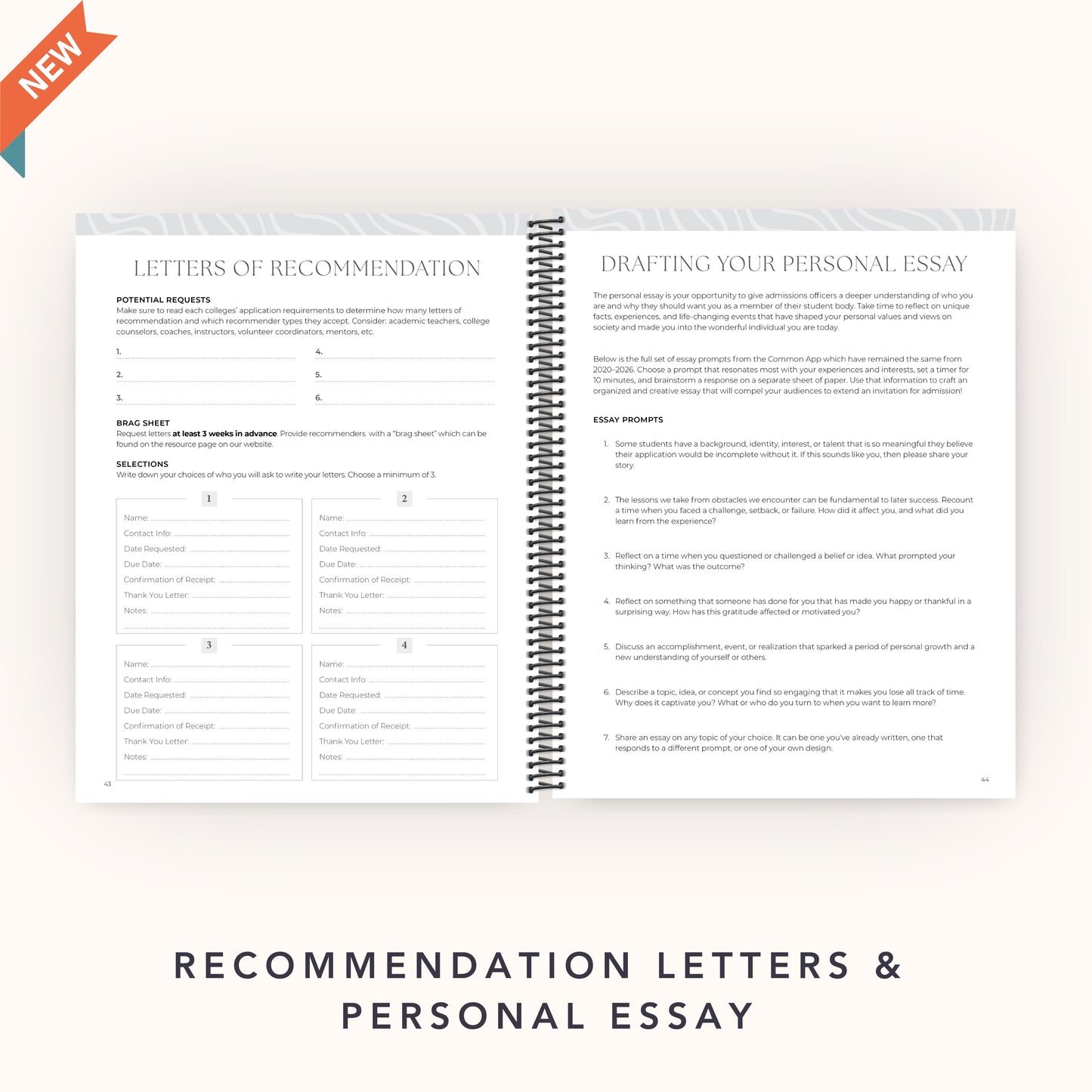 The College Vibes Planner: June - May College Application & Planning Resource